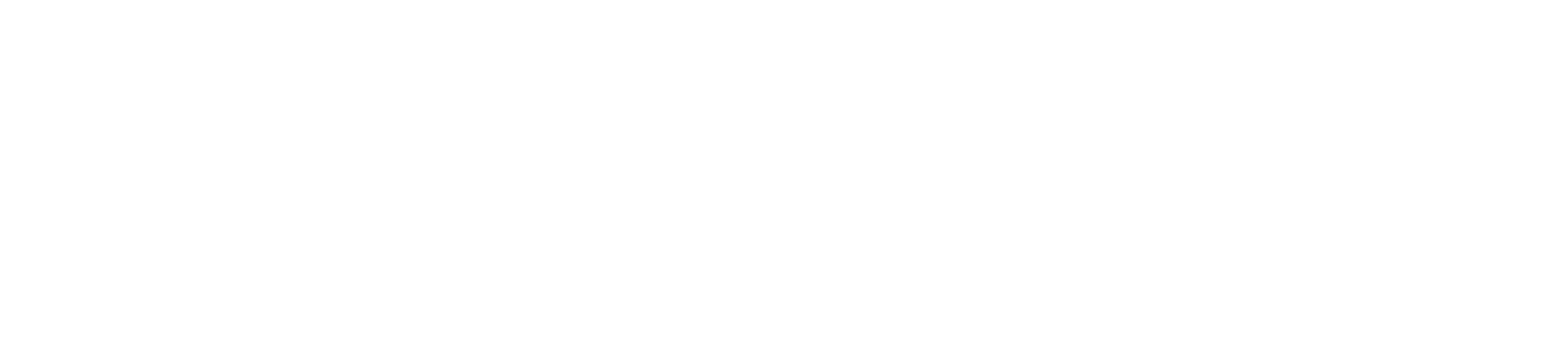 Sweepatic Logo in white